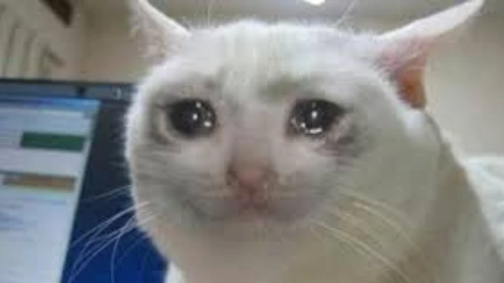 Me when you don't submit to Amaranth, THE #lehighuniversity Literary Journal