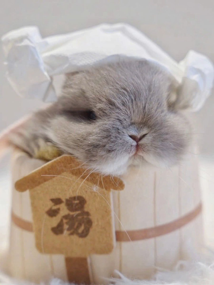 Nutty_S2's tweet photo. 이것 뭐지요? https://t.co/9qVA8PWlTe