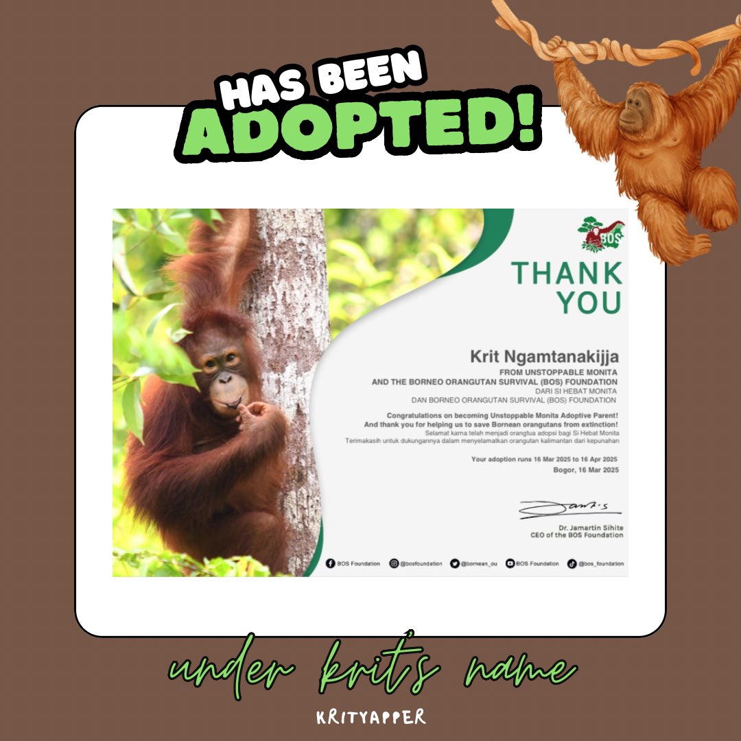 krityapper's tweet photo. Happy Birthday, Krit!

I hope your day is filled with love, laughter, and all the things that make you smile. This year, I wanted to give you something truly special, so I’ve adopted an orangutan named Monita under your name! 🦧💚
 
#happyKRITbday19th #krmjtc #KRITngamtanakijja https://t.co/yB5f5GYvUY
