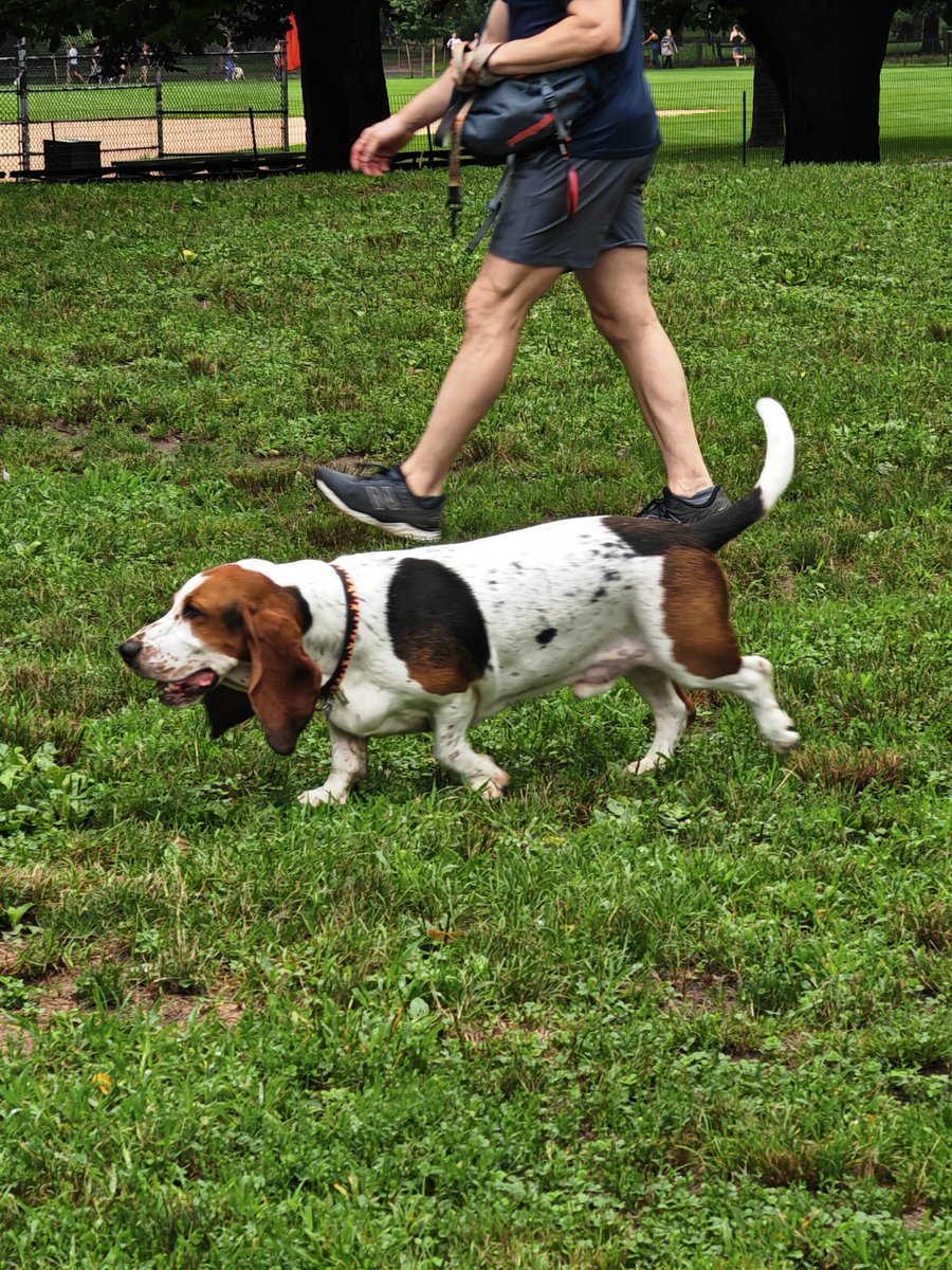 Dina (@dina_567a) on Twitter photo 