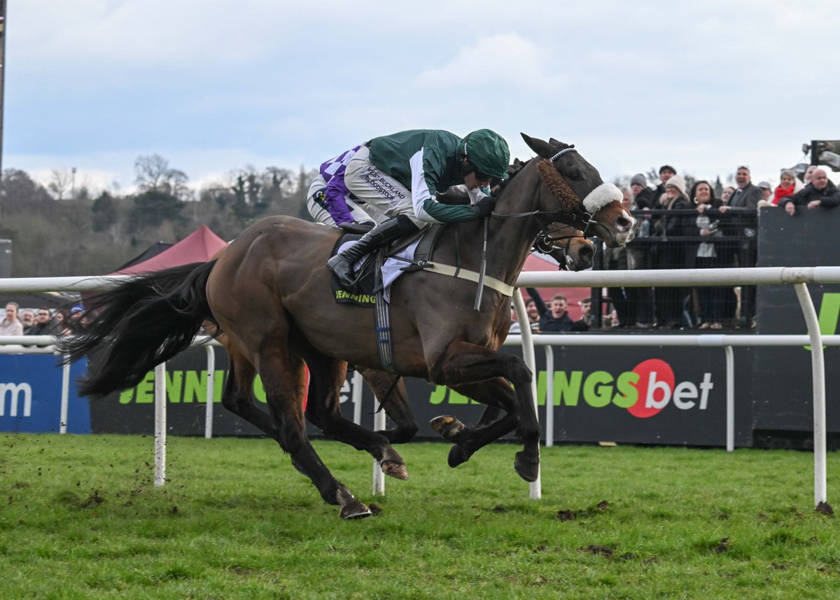 Adam Wedge (@adamkwedge) on Twitter photo 🟢⚪️Minella Blueway⚪️🟢
Battles to the line to win🏆 <a href="/UttoxeterRaces/">Uttoxeter Racecourse</a> for <a href="/EWilliamsRacing/">Evan Williams</a> <a href="/jaydee58/">Janet Davies</a>
📸 <a href="/nigekirby/">Nigel Kirby Photography</a> 🟢⚪️Minella Blueway⚪️🟢
Battles to the line to win🏆 <a href="/UttoxeterRaces/">Uttoxeter Racecourse</a> for <a href="/EWilliamsRacing/">Evan Williams</a> <a href="/jaydee58/">Janet Davies</a>
📸 <a href="/nigekirby/">Nigel Kirby Photography</a>