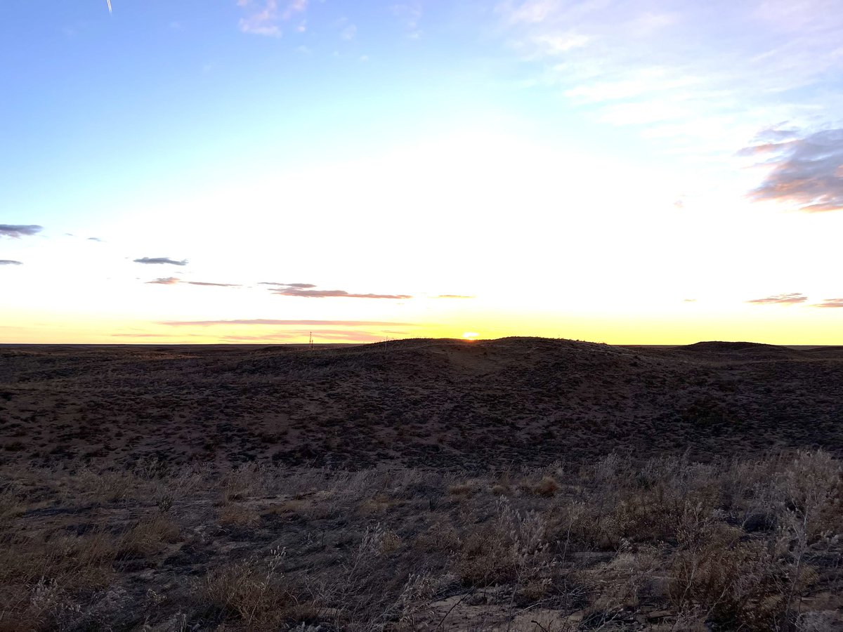 Michael Breuer tweet media