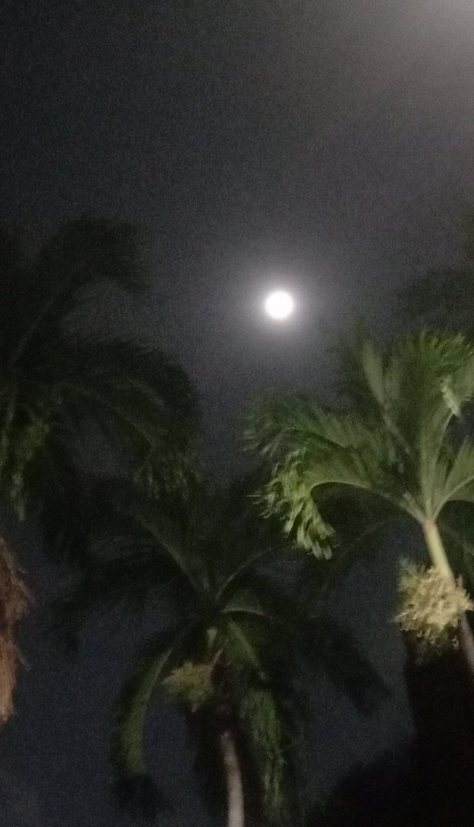 คืนที่ดี🫵🌕✨