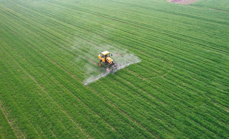 استخدام تقنيات حديثة مختلفة في أعمال حرث المزارع في الصين خلال فصل الربيع، ومن بينها مسيرات وآلات ري ونظام بايدو للملاحة إلخ.