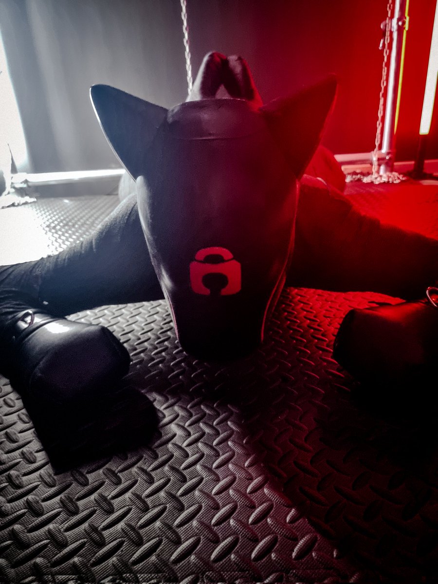 Lost in headspace.
Times you wish would never end.

Hood by <a href="/furrjoi01/">FURRJOI</a>
📷 by <a href="/SwitchFrench/">Pup Beam 🔞NSFW</a> 🤍