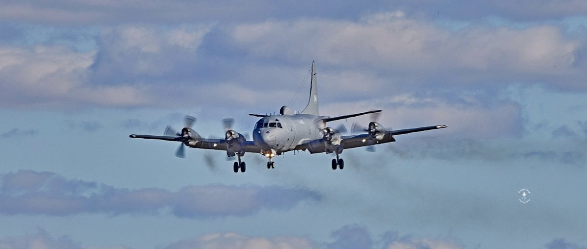 DougieCoullPix's tweet image. Today’s arrival - Canadian P3 🇨🇦 

#aircraft #aviation #pik #prestwickairport #canadian #p3