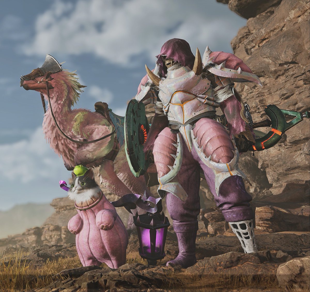 Damien Haas tweet media