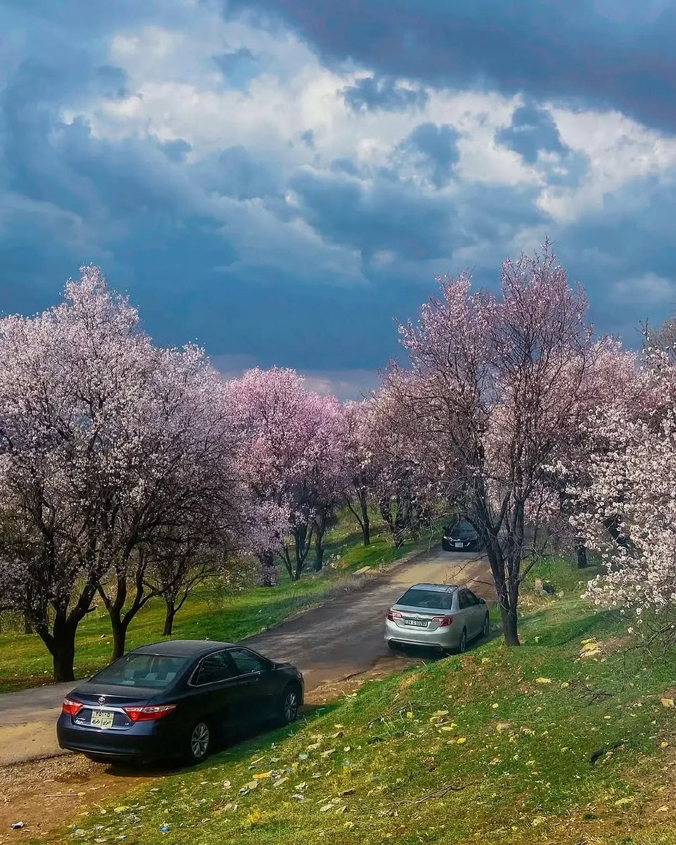 <a href="/Amazingeye55/">Amazing eyes</a> Iraq.