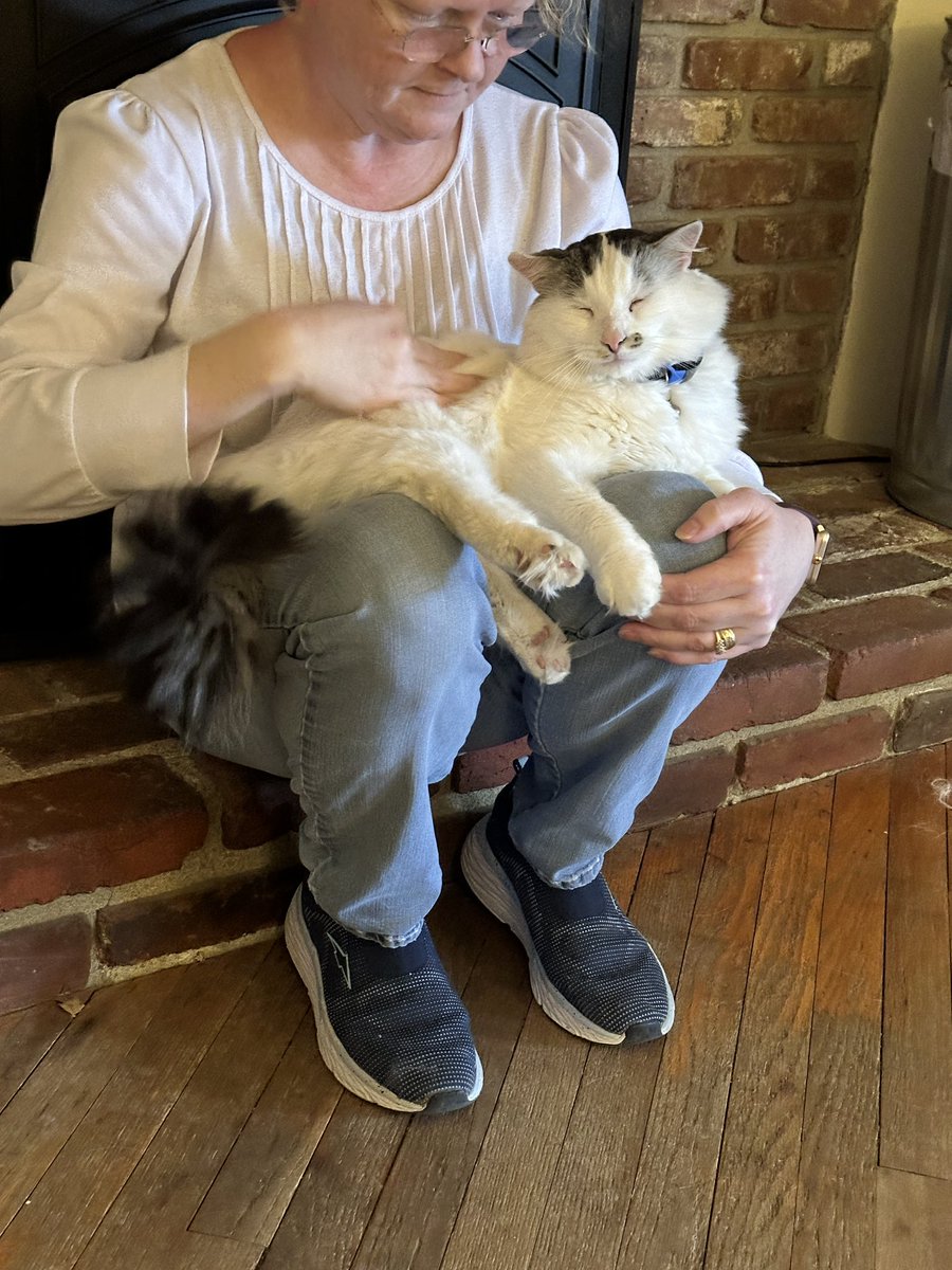 I was cold so I sat down in front of the pellet stove…. Fluffster decided my lap needed to be occupied so he squished himself until he fit. 

  <a href="/DinahLewisTayl1/">Dyna-isms</a> #CatsOfTwitter #Caturday #meow #purr #adoptdontshop #lapcat #whiskerswednesday #kittens #catnap #KittenLove