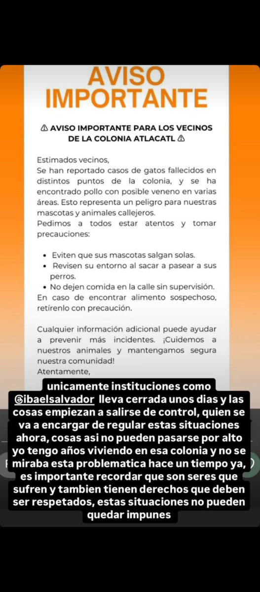 lyssitta's tweet photo. Sr Presidente @nayibbukele nuevamente apelo con todo respeto a su buen juicio por favor para que reaperture el @ibaelsalvador con una reestructuración enfocada a lo que la ley exige : velar por el bienestar animal
Desde que IBA fue cerrado,los CASOS DE MALTRATO, ENVENENAMIENTO,👇🏻 https://t.co/osL4BtguUJ