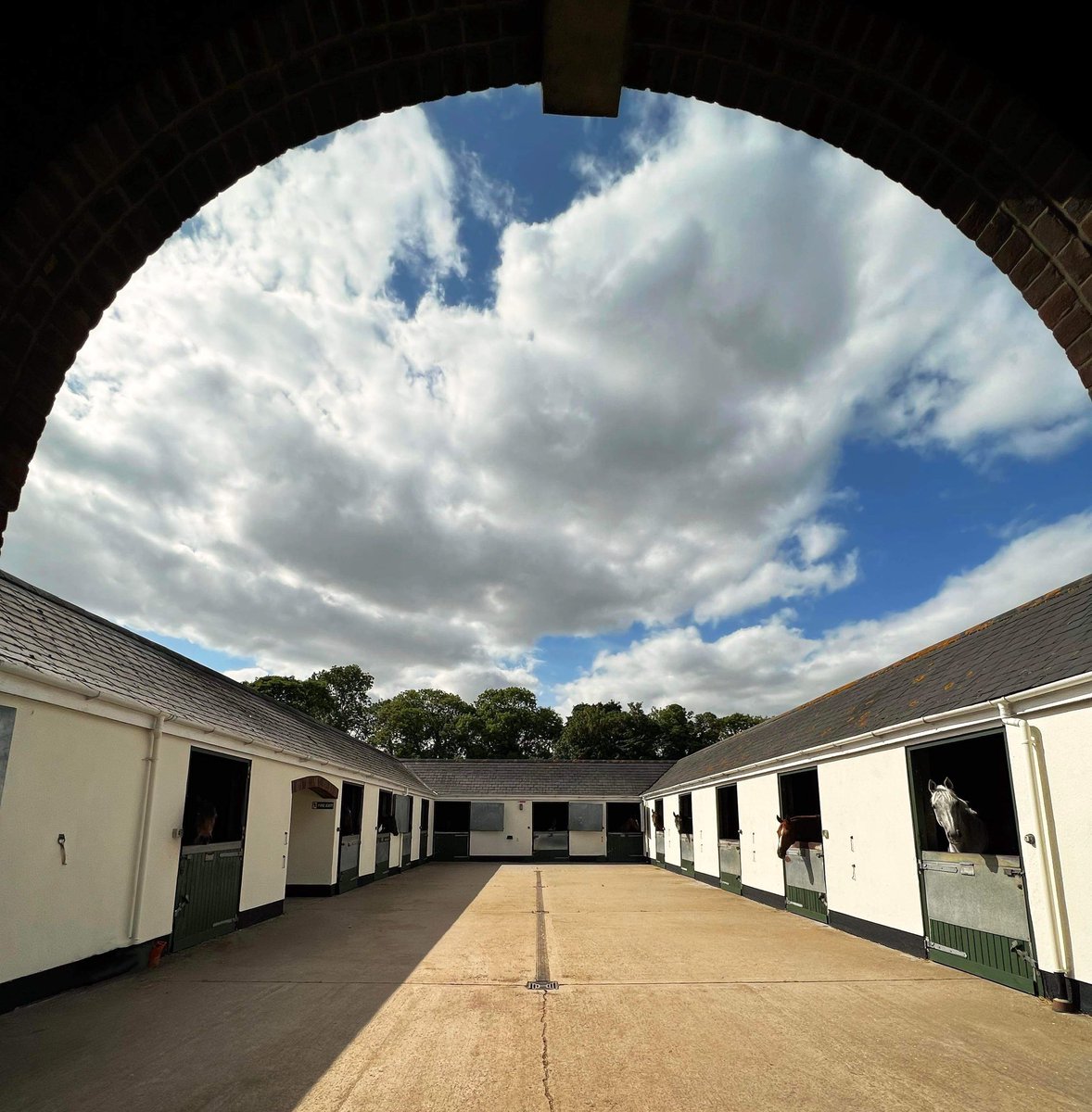 nelmeshelen1's tweet photo. Warmwell Racing Stables &amp; Stud
Due to unforeseen circumstances Job Opportunity 
Full time position ( 5day wk ) must be confident good rider 
Yard experience helpful but training can be offered to the right person We are a friendly small team but the yard is always busy. https://t.co/R8jFLfk58l