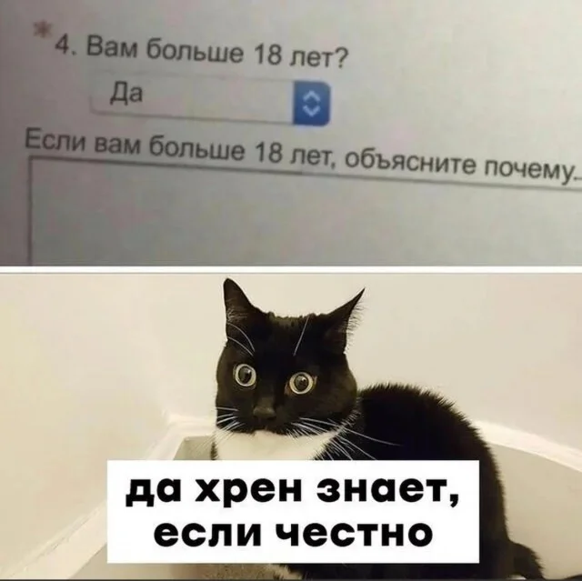 Открытка очень смешно ха. Оборзевший кот. А мне то как смешно. Ха ха смешно. Смешные анимации с надписями.