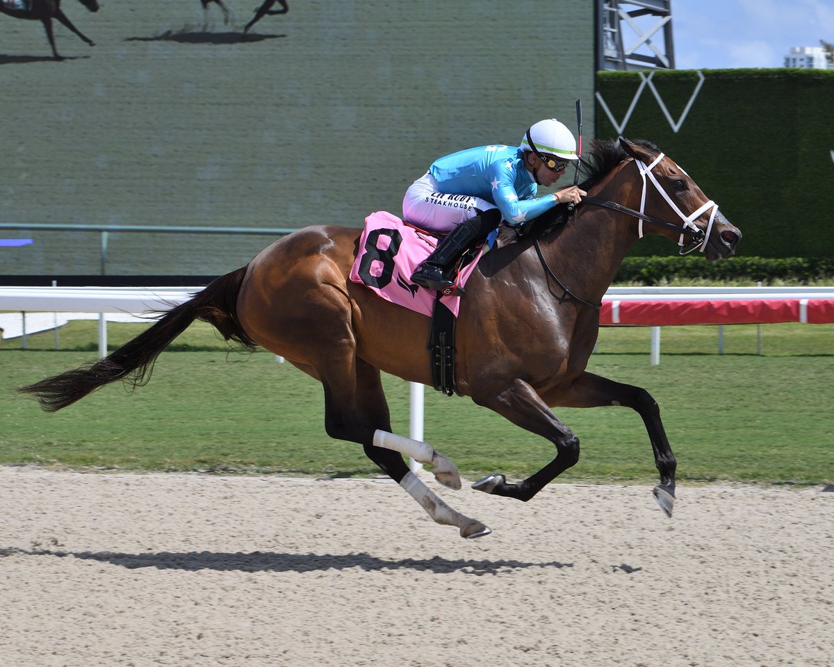 Gulfstream Park (@gulfstreampark) on Twitter photo Miss San Gabriel goes gate to wire in race 2, <a href="/Tyler_Gaff/">Tyler Gaffalione</a> aboard for trainer George Weaver. #GulfstreamPark #ChampionshipMeet Miss San Gabriel goes gate to wire in race 2, <a href="/Tyler_Gaff/">Tyler Gaffalione</a> aboard for trainer George Weaver. #GulfstreamPark #ChampionshipMeet