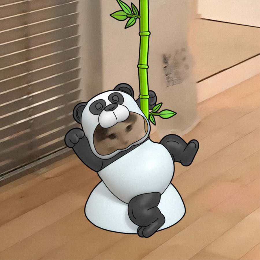 michionsolana's tweet image. happy #pandaday!