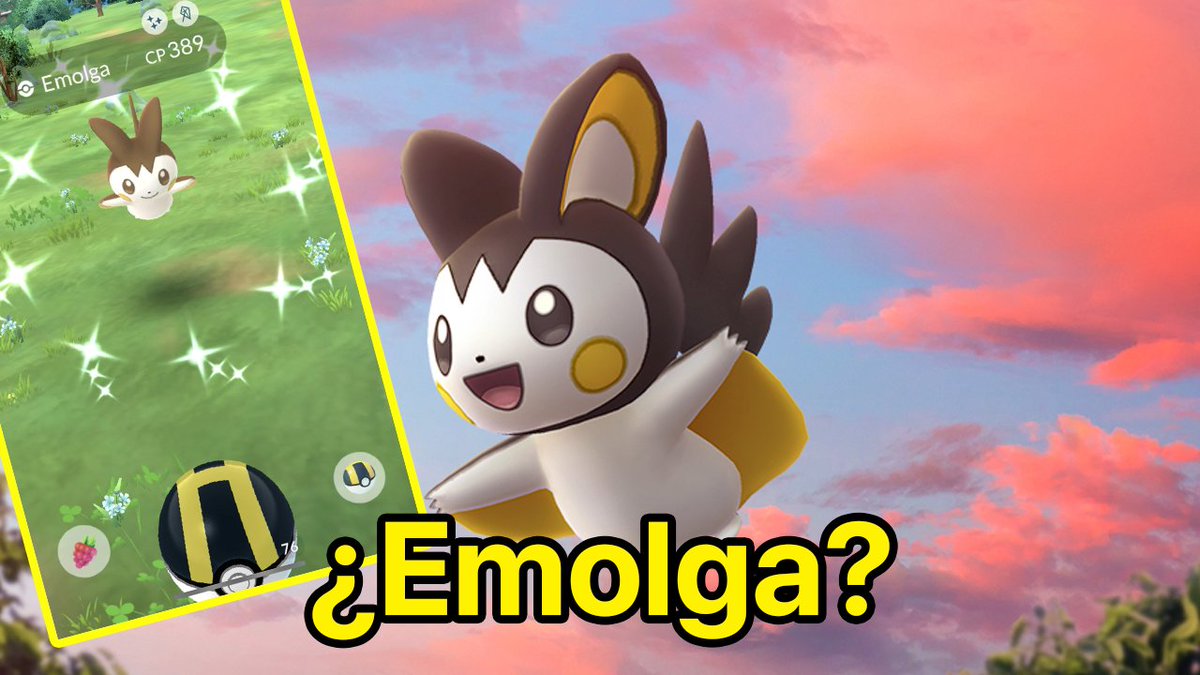 NidosCDMX 🪺🇲🇽 tweet media