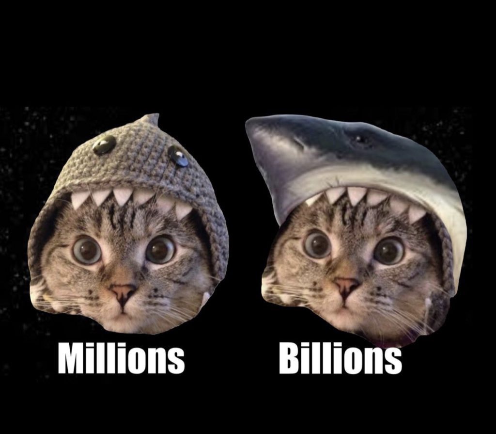 For hundreds of millions of years the bull shark has ruled the oceans. There is no cat meme in the crypto sphere with this sort of provenance and ALPHA energy. 

There is NO such thing as a bear shark and for good reason. Beras are weak, pathetic, disgusting creatures who can’t
