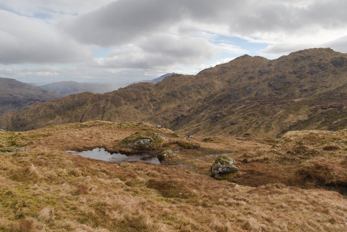 Ben Vorlich. It was colder than it looks.

#LochLomond