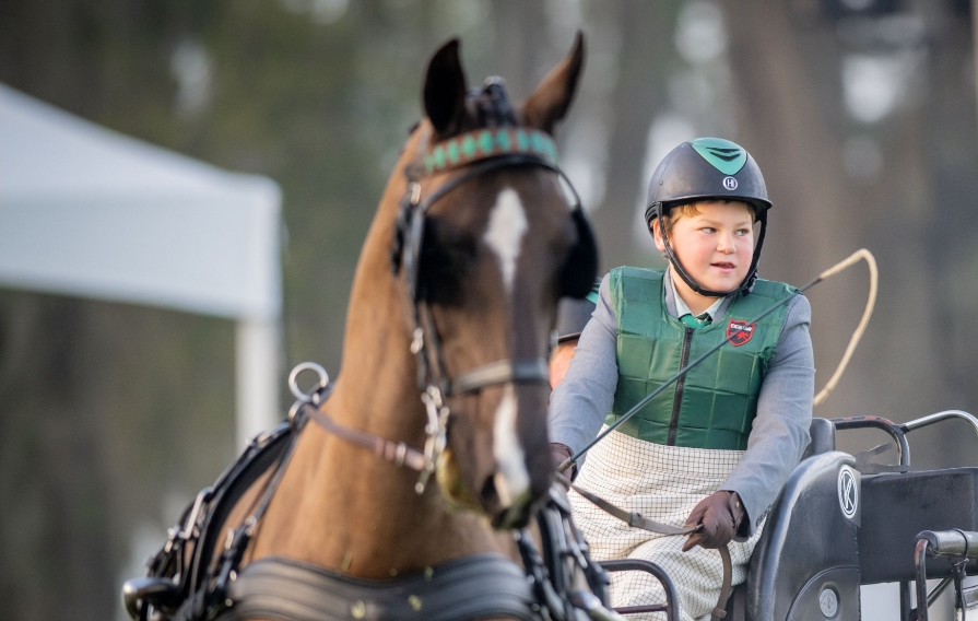 Horcery (@horcery_) on Twitter photo ⭐ <a href="/LiveOakInt/">Live Oak Int</a> Day2 : We’re Here! ⭐
Horcery is on-site as an Official Supporting Sponsor at #LOI25.
🚨 Horse owners—stop by the VIP tent, meet Greer Fogle & chat about how Horcery’s real-time monitoring can smarten your horse’s care. Plus, score exclusive swag!
#WeMonitorThat ⭐ <a href="/LiveOakInt/">Live Oak Int</a> Day2 : We’re Here! ⭐
Horcery is on-site as an Official Supporting Sponsor at #LOI25.
🚨 Horse owners—stop by the VIP tent, meet Greer Fogle & chat about how Horcery’s real-time monitoring can smarten your horse’s care. Plus, score exclusive swag!
#WeMonitorThat