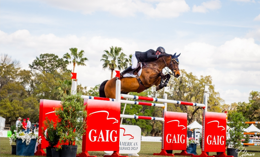 Horcery_'s tweet photo. ⭐ @LiveOakInt Day2 : We’re Here! ⭐

Horcery is on-site as an Official Supporting Sponsor at #LOI25.

🚨 Horse owners—stop by the VIP tent, meet Greer Fogle &amp; chat about how Horcery’s real-time monitoring can smarten your horse’s care. Plus, score exclusive swag!

#WeMonitorThat https://t.co/tk7lFyaRD0