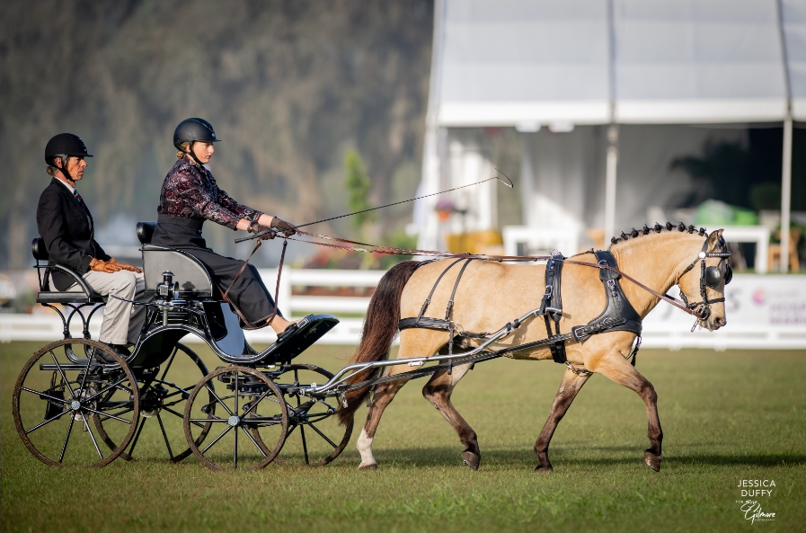 Horcery_'s tweet photo. ⭐ @LiveOakInt Day2 : We’re Here! ⭐

Horcery is on-site as an Official Supporting Sponsor at #LOI25.

🚨 Horse owners—stop by the VIP tent, meet Greer Fogle &amp; chat about how Horcery’s real-time monitoring can smarten your horse’s care. Plus, score exclusive swag!

#WeMonitorThat https://t.co/tk7lFyaRD0