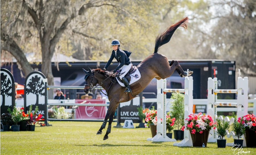 Horcery_'s tweet photo. ⭐ @LiveOakInt Day2 : We’re Here! ⭐

Horcery is on-site as an Official Supporting Sponsor at #LOI25.

🚨 Horse owners—stop by the VIP tent, meet Greer Fogle &amp; chat about how Horcery’s real-time monitoring can smarten your horse’s care. Plus, score exclusive swag!

#WeMonitorThat https://t.co/tk7lFyaRD0