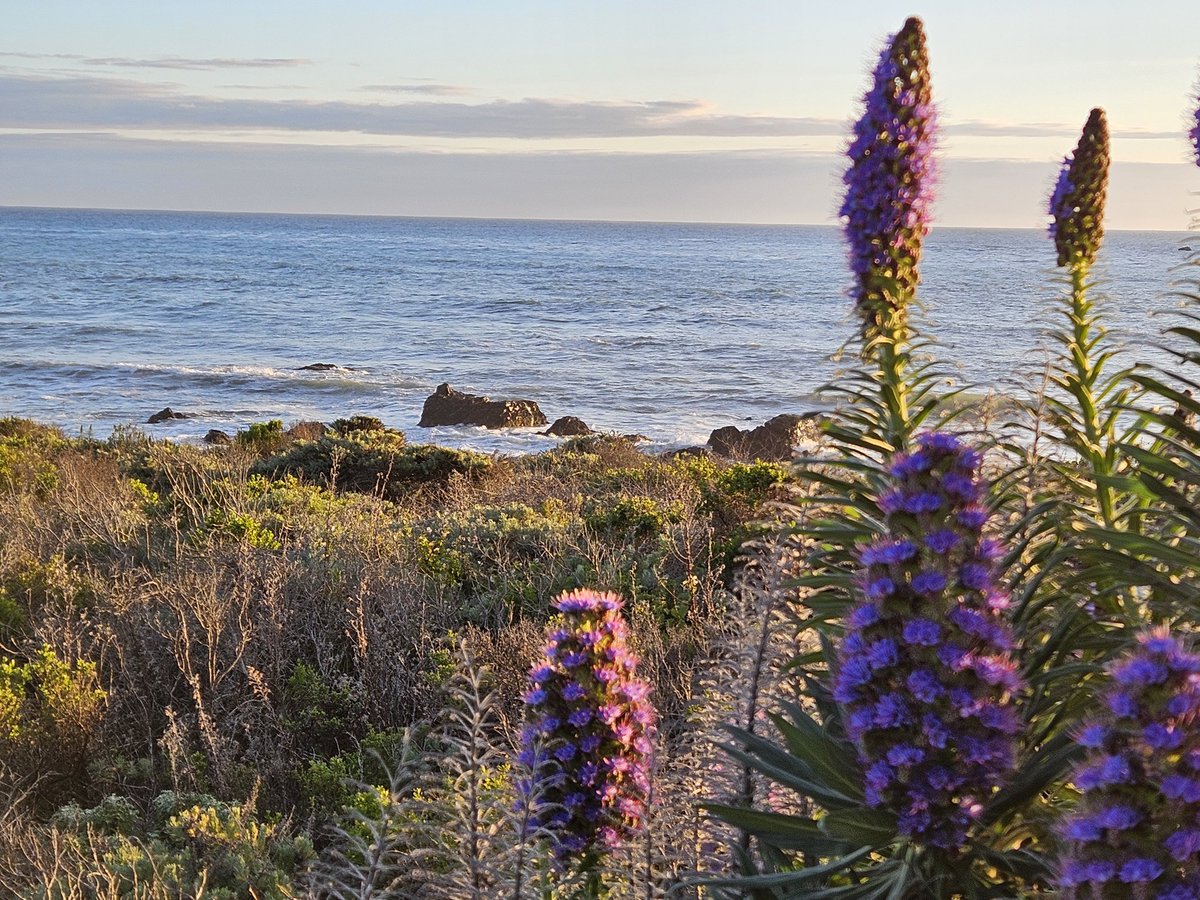 Susan (Morhar) Andrews tweet media