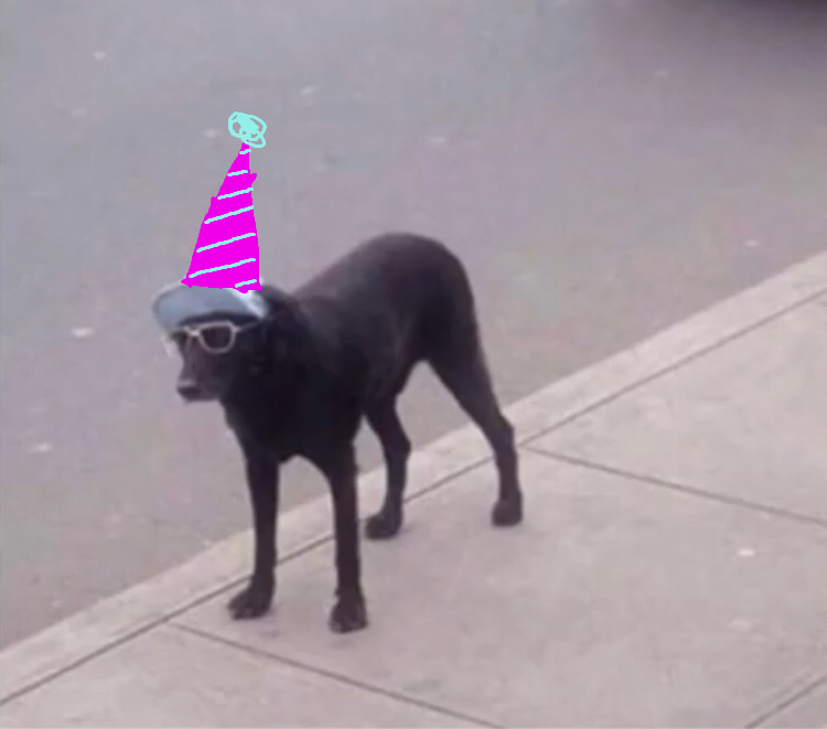nitr0shibe's tweet photo. birkday https://t.co/W3GNfFKXeO