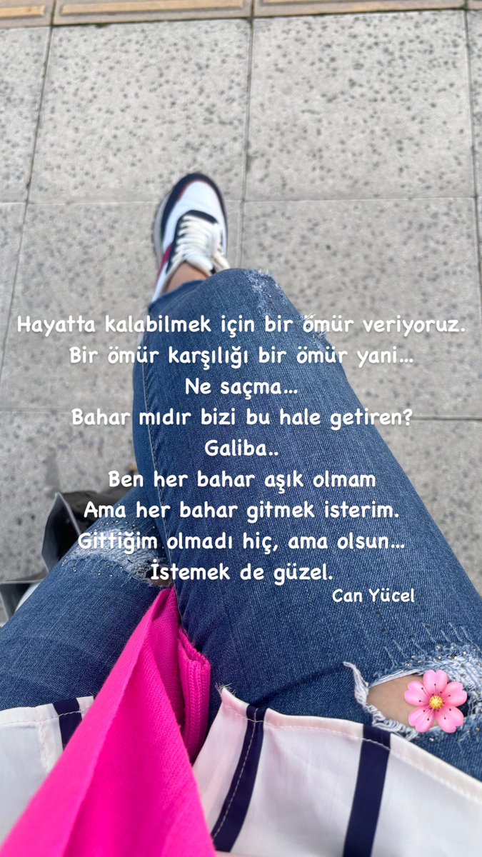 Svcn Uçar (@svcnhoca) on Twitter photo 