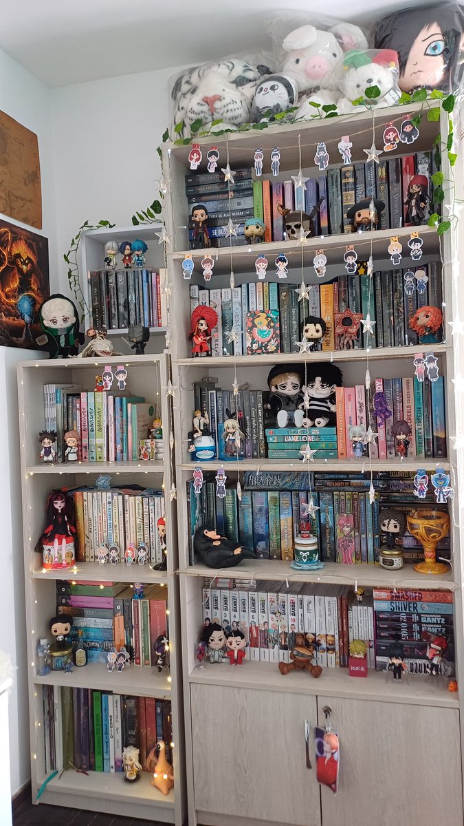 magic_claw_'s tweet photo. @g_vanille Mi lugar favorito en mi casa 🫶🏻. Foto de cada librero separado y ambos juntos ✨️✨️. https://t.co/26eJdPzPIr
