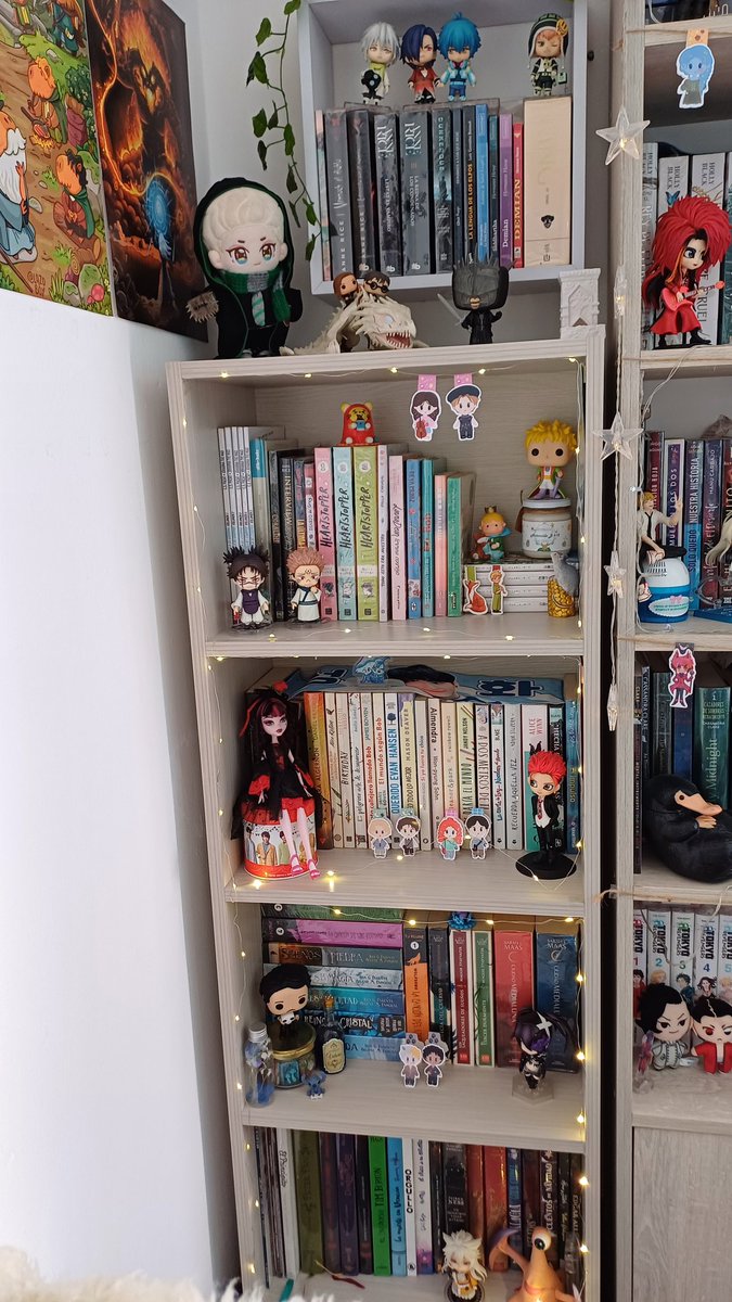 magic_claw_'s tweet photo. @g_vanille Mi lugar favorito en mi casa 🫶🏻. Foto de cada librero separado y ambos juntos ✨️✨️. https://t.co/26eJdPzPIr