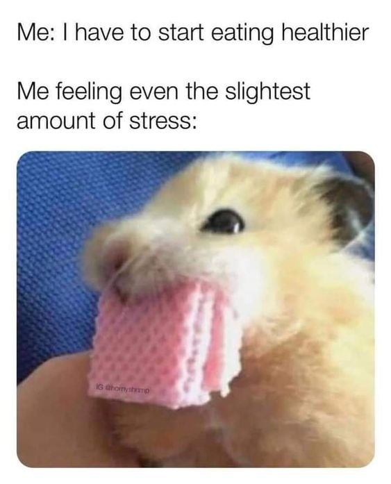 WholesomeMemes (@wholesomememe) on Twitter photo 