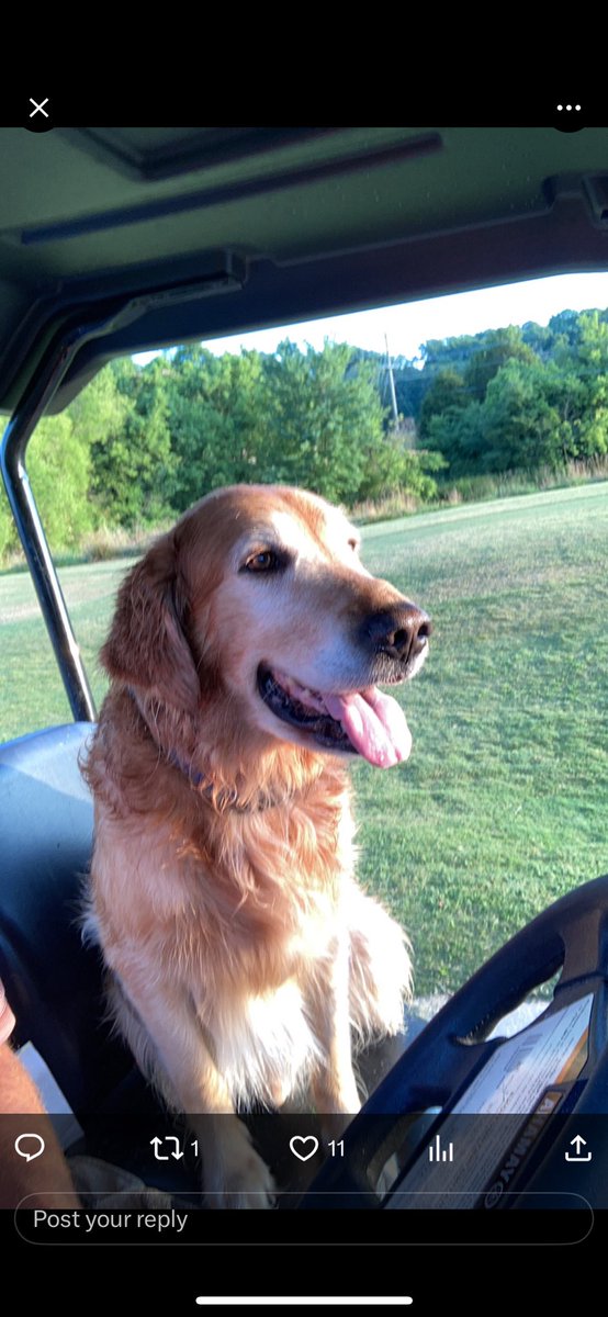 Tanasi Golf tweet media