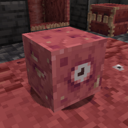 sopbox alt 2 (@sopbox_) on Twitter photo 