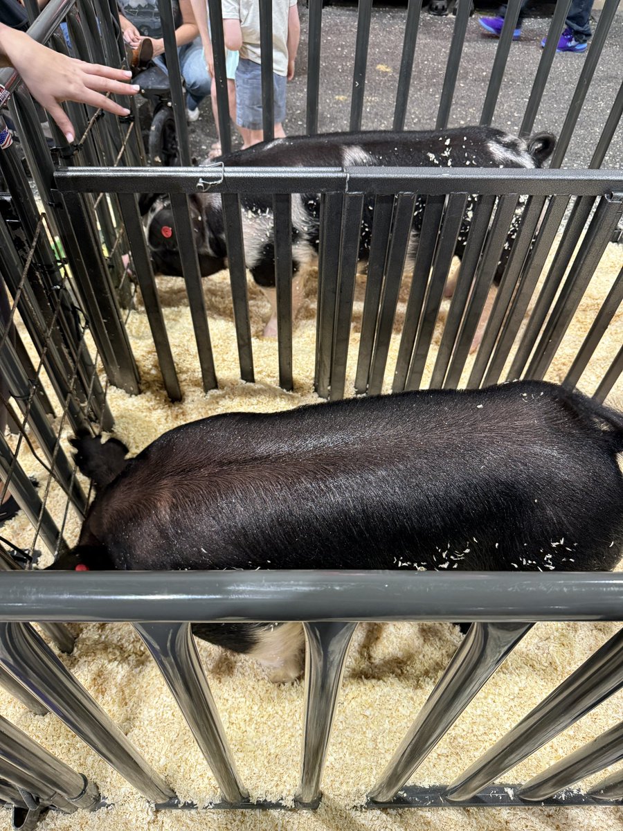 Grant Granquist tweet media