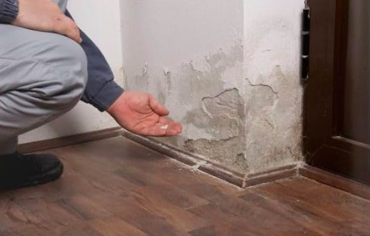 Mais d'où proviennent les remontées d'humidité et comment les combattre?...
reno-info-maison.com/d-ou-provienne…