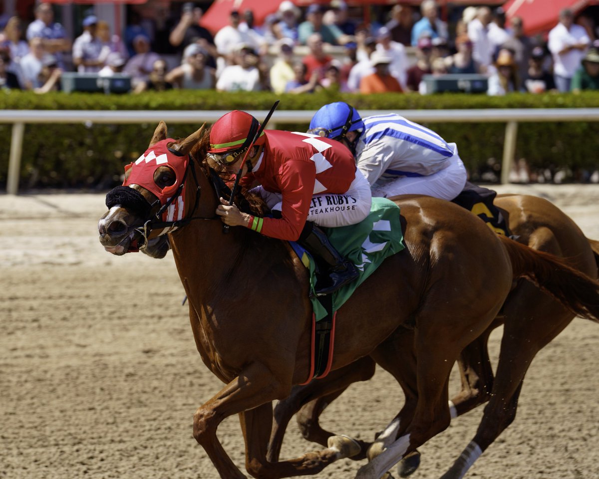 Gulfstream Park (@gulfstreampark) on Twitter photo Rolando defeats Multiverse to win the Hutcheson Stakes, ridden by <a href="/Tyler_Gaff/">Tyler Gaffalione</a>, saddled by Fausto Gutiérrez, and owned by St George Stable. #GulfstreamPark #ChampionshipMeet Rolando defeats Multiverse to win the Hutcheson Stakes, ridden by <a href="/Tyler_Gaff/">Tyler Gaffalione</a>, saddled by Fausto Gutiérrez, and owned by St George Stable. #GulfstreamPark #ChampionshipMeet