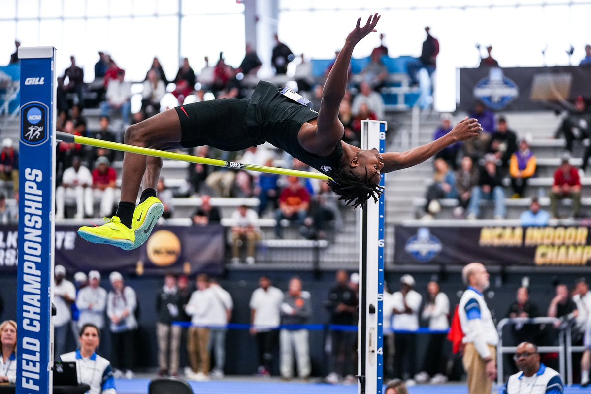 1-2 🥊.

#GoDawgs | #NCAATF