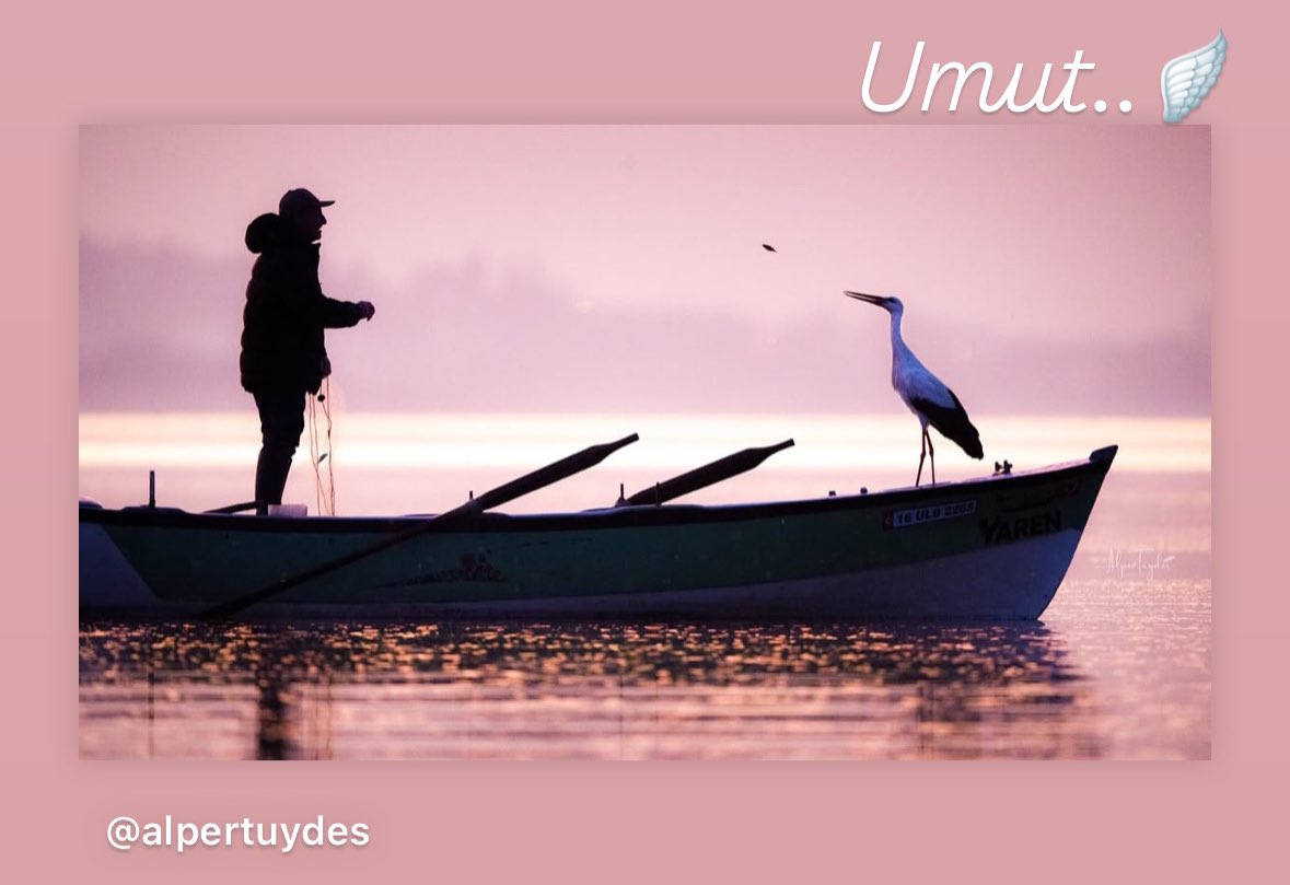 _ozgece's tweet photo. #yaren 
#umut🪽 https://t.co/V4GUP7bTYl