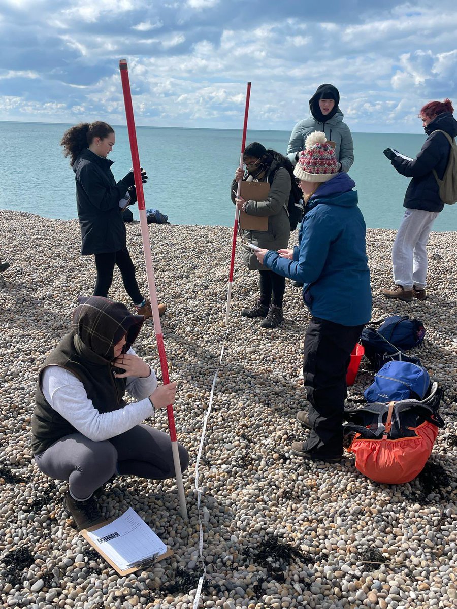Coastal #fieldwork on Chesil Beach this morning #BGSGeographers working hard collecting data #teamwork #BGSGeography #BGSYear12 <a href="/LeesonHouse/">Leeson House Dorset</a> <a href="/BedfordGirlsSch/">Bedford Girls' School</a>