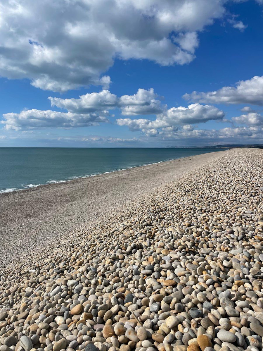 BGS_Geography's tweet photo. Coastal #fieldwork on Chesil Beach this morning #BGSGeographers working hard collecting data #teamwork #BGSGeography #BGSYear12 @LeesonHouse @BedfordGirlsSch https://t.co/jKcujiDPWF