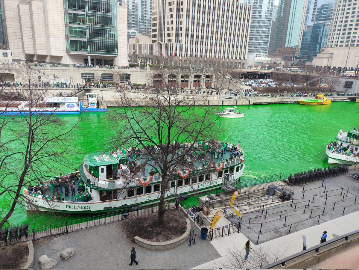 Saint Patrick, Chicago. Pintan el agua de todo el canal de verde.