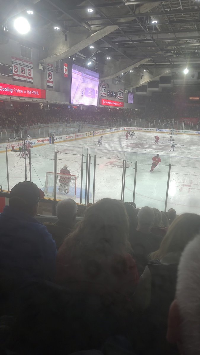 thetimiddonut's tweet image. 🎶 Walking Along
Singing a song
Living in a Gwynter Wonderland 🎶