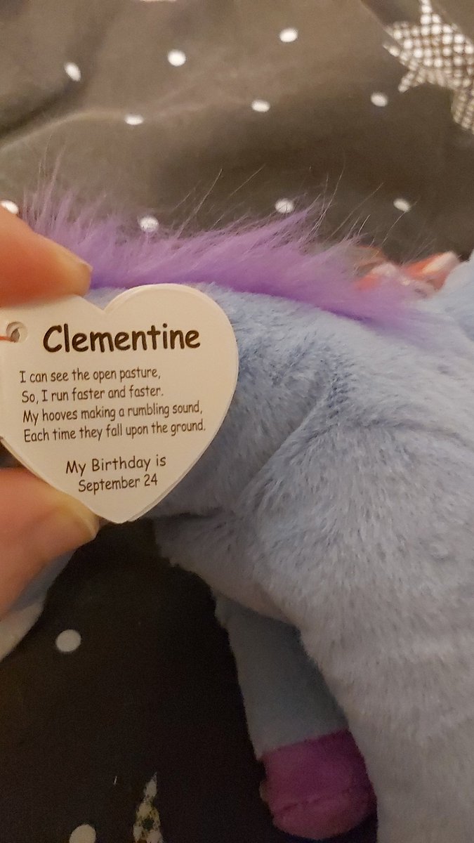 TeamOfTheWild_'s tweet photo. My first beanie babies horse https://t.co/7LA2WKJ55D