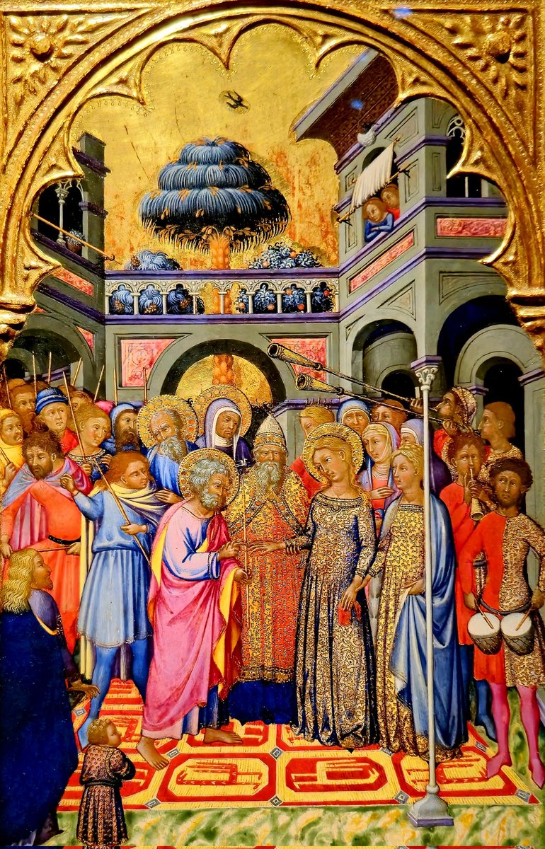 Steve Daszko tweet media