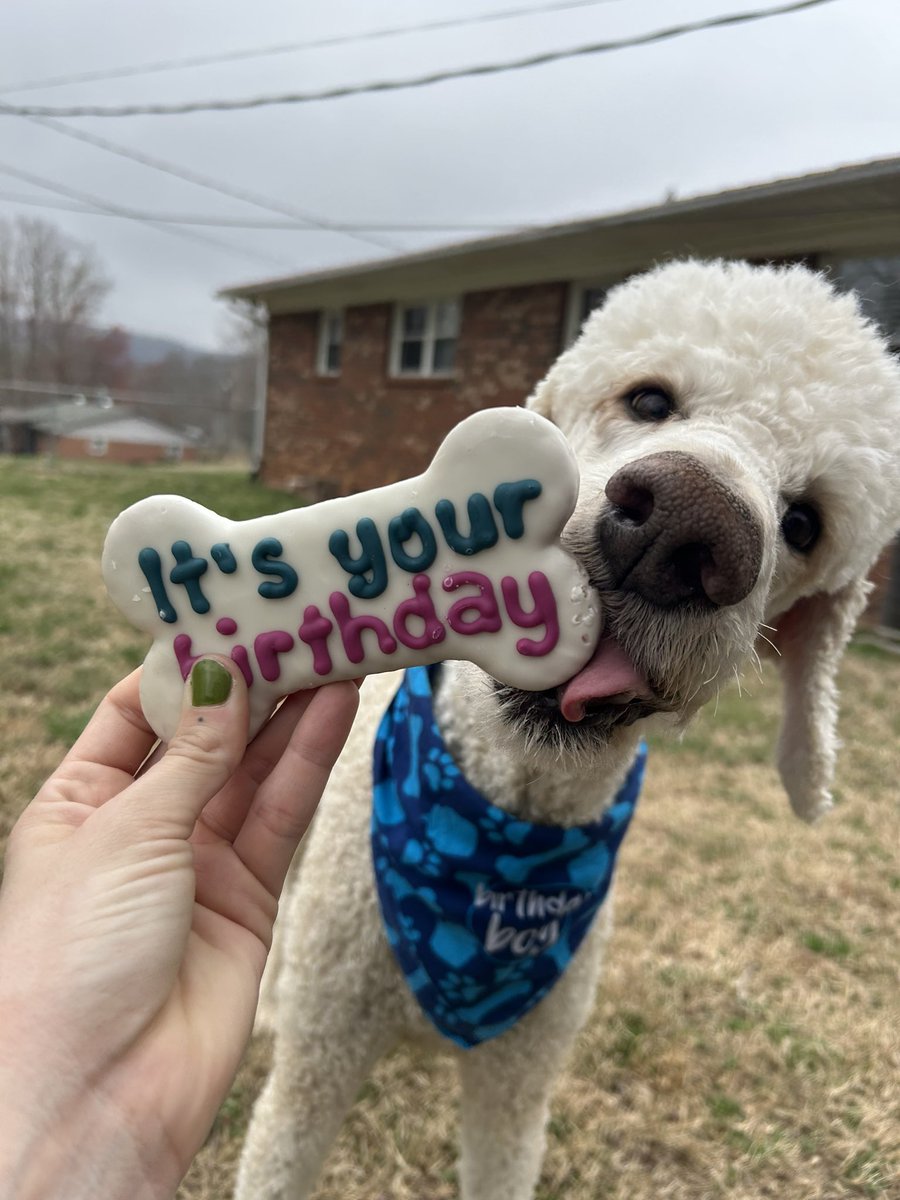 annanicole365's tweet photo. Birthday Boy part 6 💙 https://t.co/noZYgWqJ9h