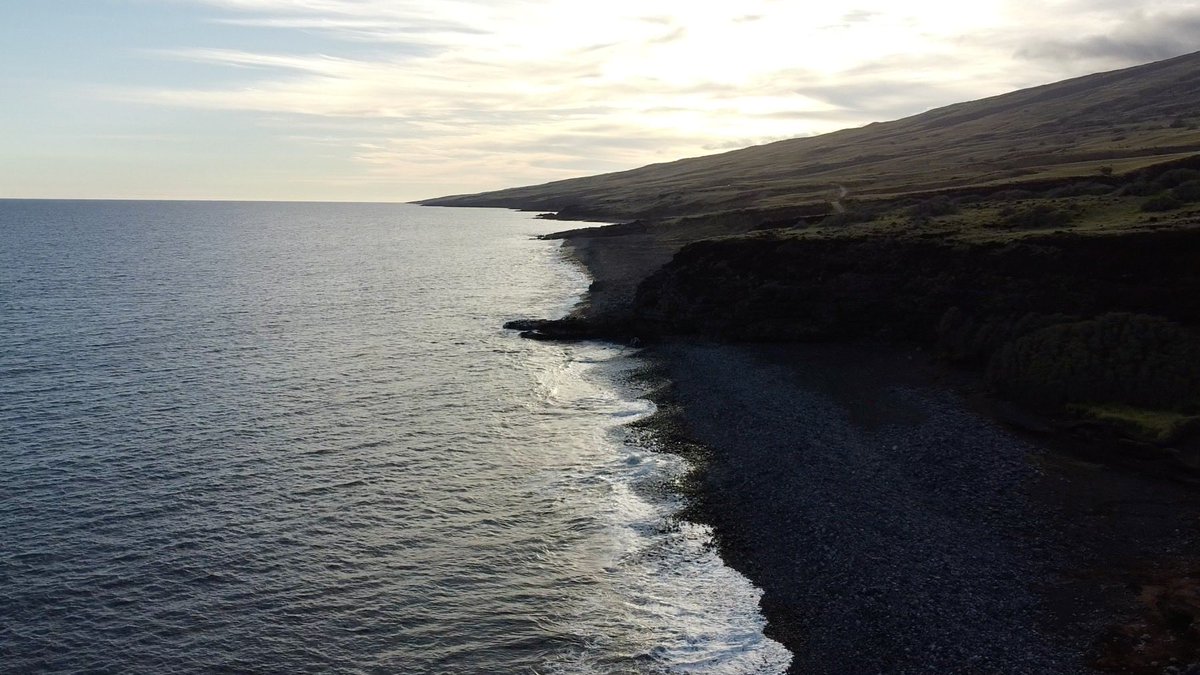 jacobjivanov's tweet image. 