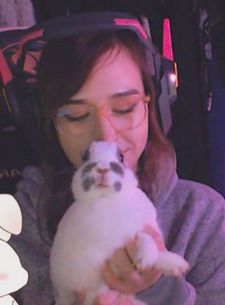 CaffeinatedBun tweet media