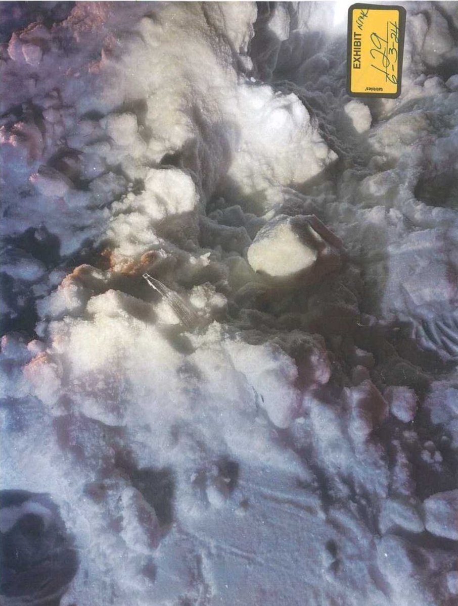 The forensic evidence at the scene outside 34 Fairview rd raises serious questions about the timeline of events. Polycarbonate taillight fragments were found scattered around the area where John O'Keefe's body was discovered. However, I have noticed some serious inconsistencies.