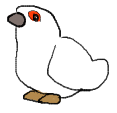 真実をお話しします 
