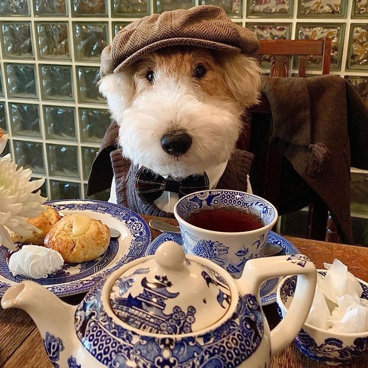 diego ♰ (@flordeapollo) on Twitter photo 